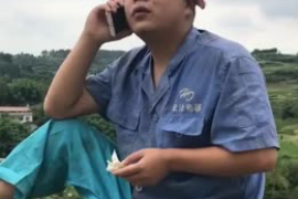 叶县贷款清欠服务